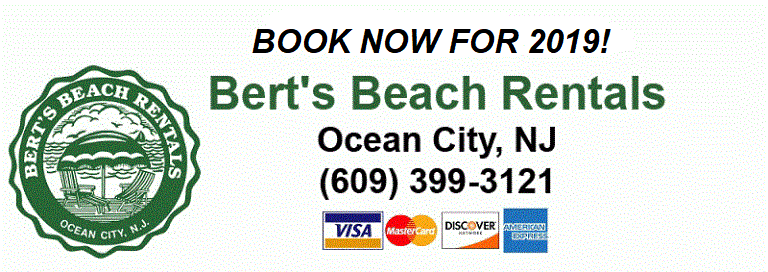 berts beach rentals