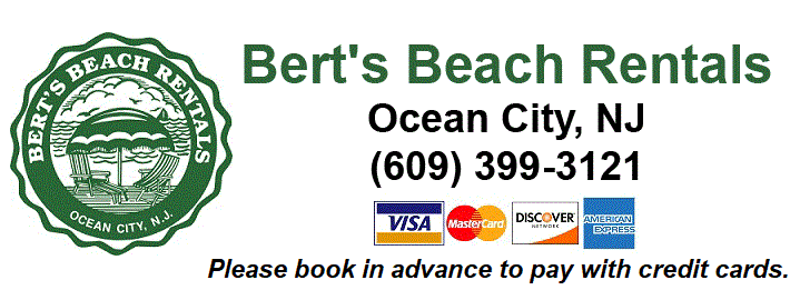 berts beach rentals